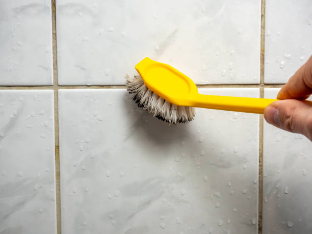 Best Attic Mold Removal  in Wickerham Manor Fisher, PA