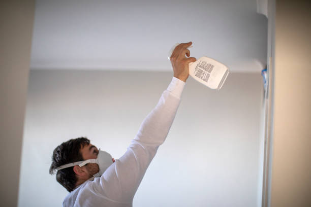 Best Professional Mold Removal  in Wickerham Manor Fisher, PA