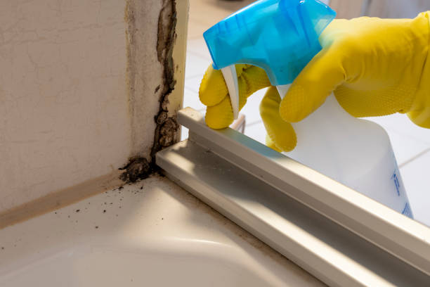 Best Emergency Mold Removal  in Wickerham Manor Fisher, PA