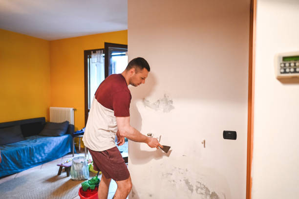 Best Commercial Mold Removal  in Wickerham Manor Fisher, PA