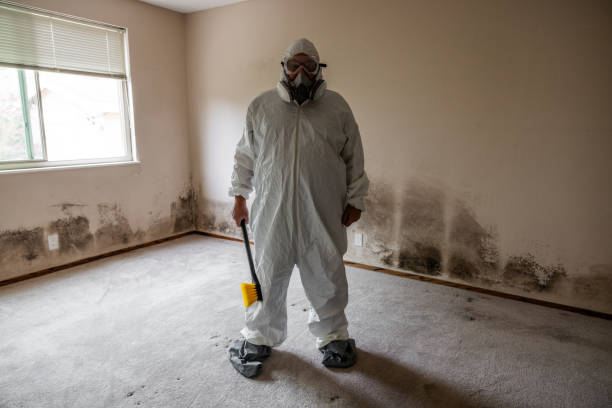Water Damage Restoration in Wickerham Manor Fisher, PA