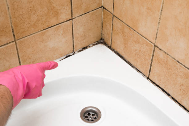 Best Office Mold Removal Services  in Wickerham Manor Fisher, PA